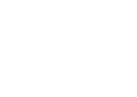 network craze logo white