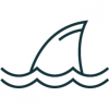 shark shark