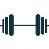 weights weights