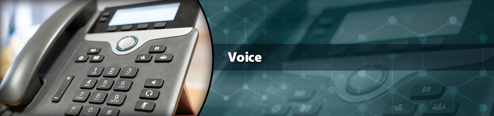 Network Craze Voice Network Craze Voice